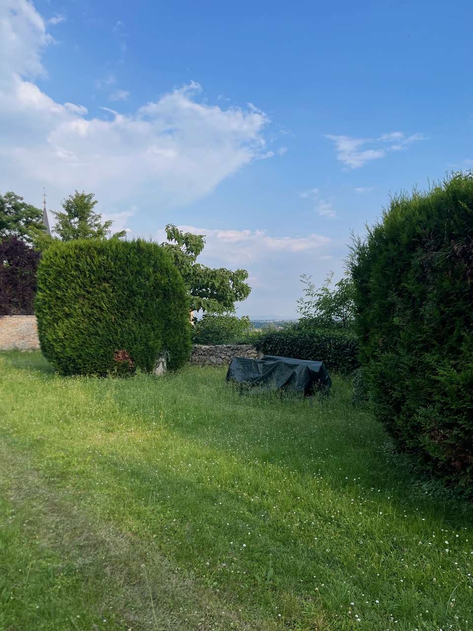 ***Charmante 2 Zimmerwohnung mit Loft-Charakter ***