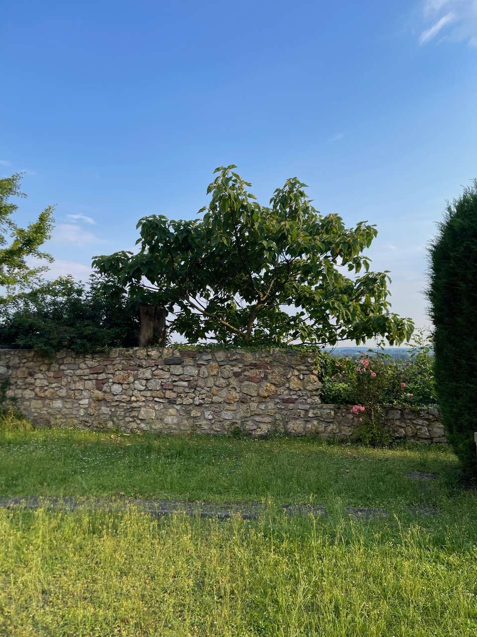 ***Charmante 2 Zimmerwohnung mit Loft-Charakter ***