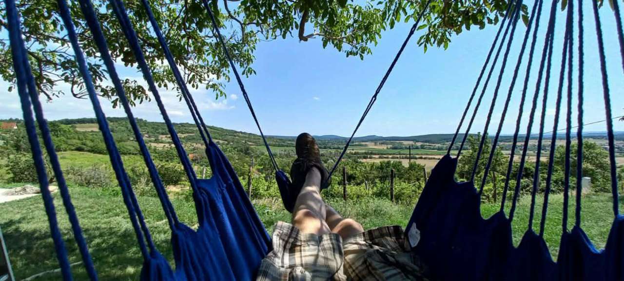 ***Juwel am Balaton - 200 Jahre altes Kelterhaus ***