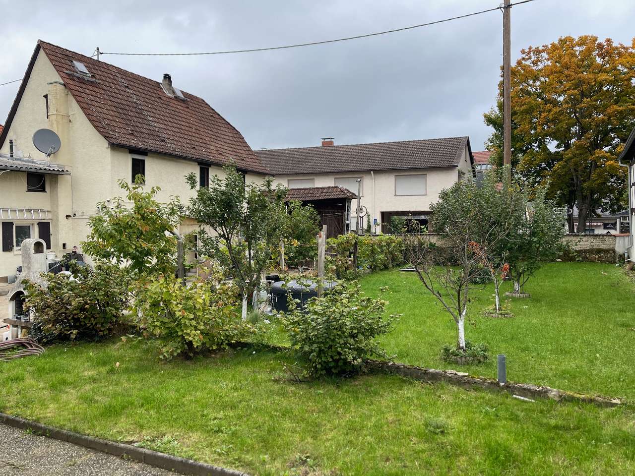 Blick vom Garten Blick vom Garten