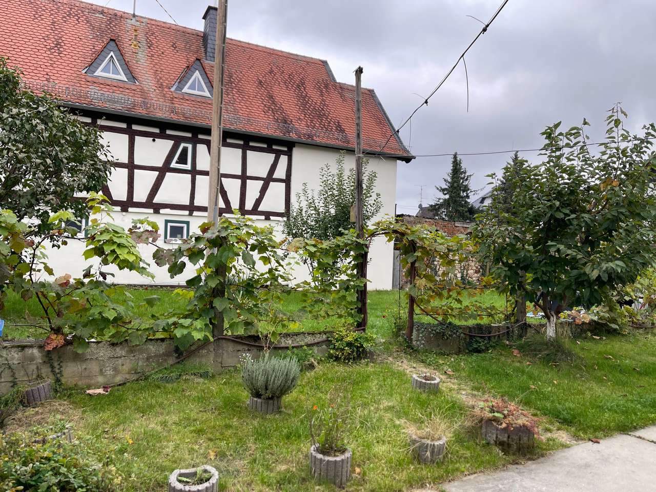 Garten Garten